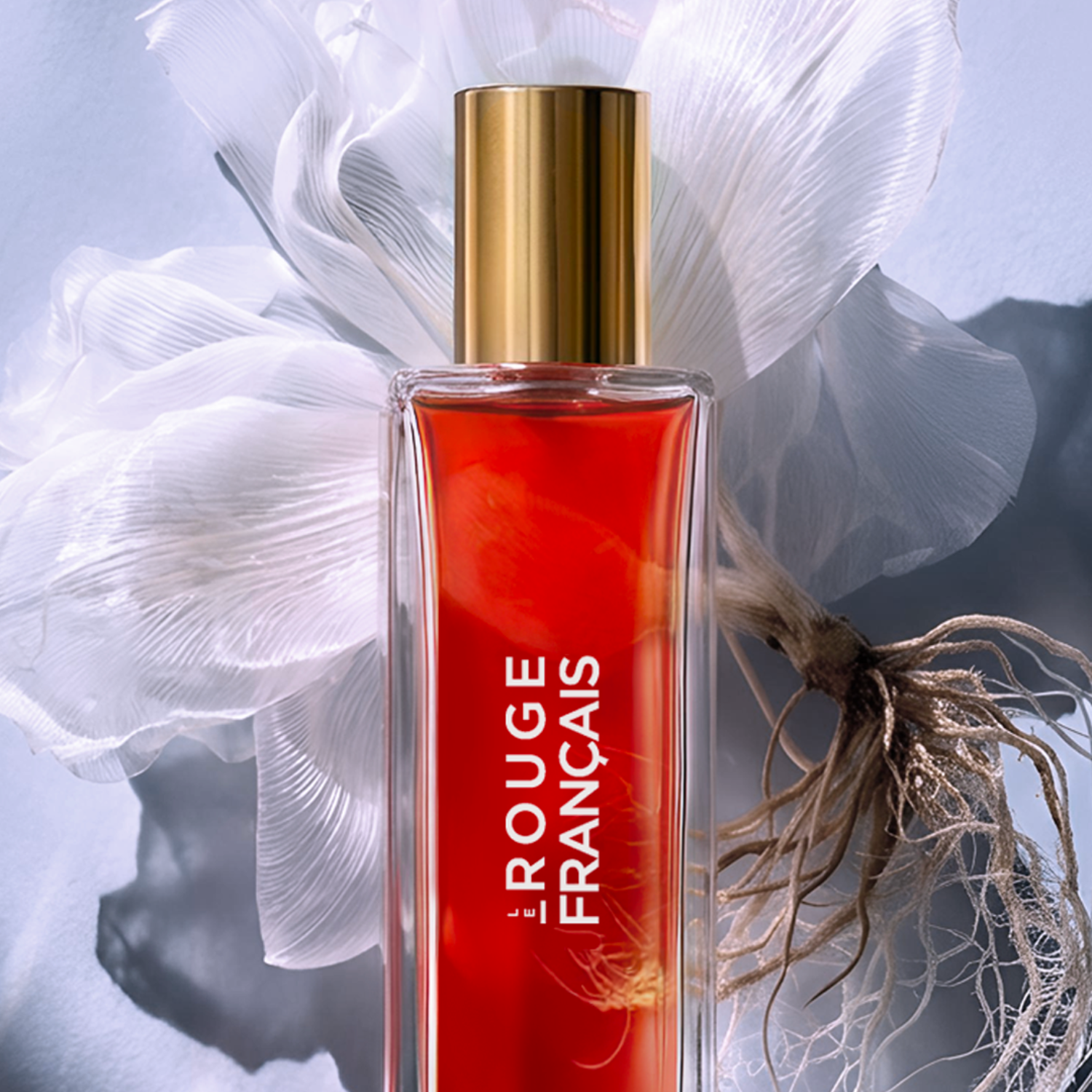 le-rouge-fran-ais-1402-slaventina-huile-d-maquillante-visage image 2