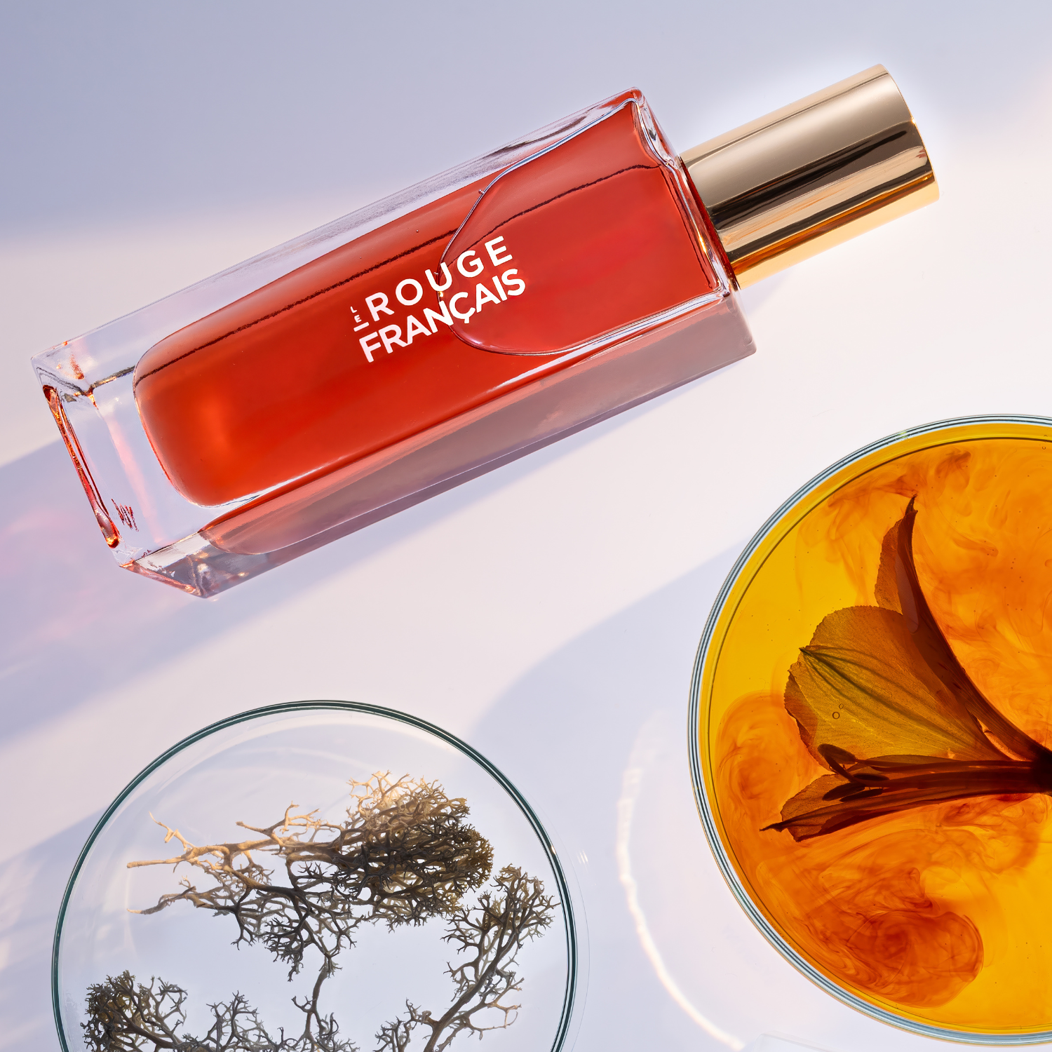 le-rouge-fran-ais-1402-slaventina-huile-d-maquillante-visage image 4